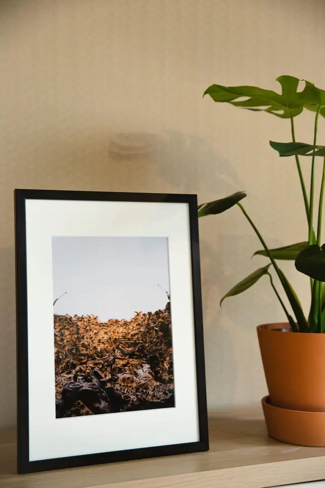 Modern minimalist