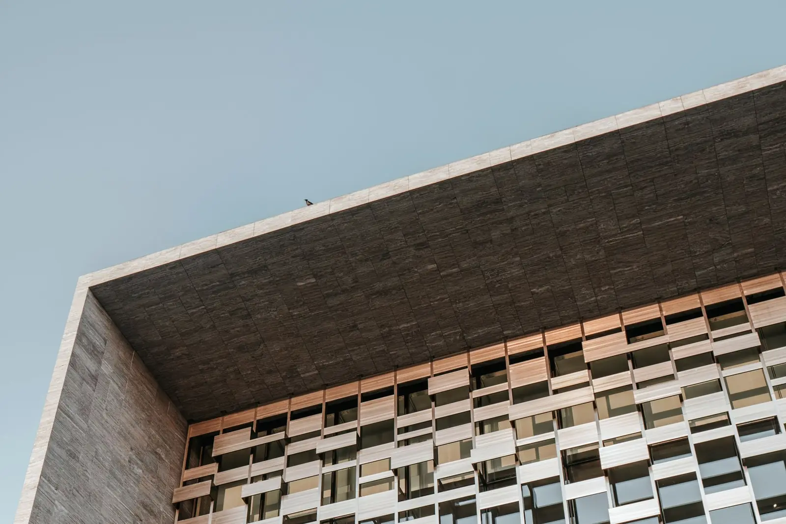 A deep concrete roof edge above a patterned facade