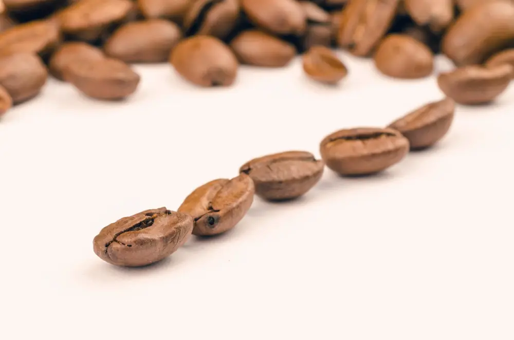 Light roasted beans on a white surface